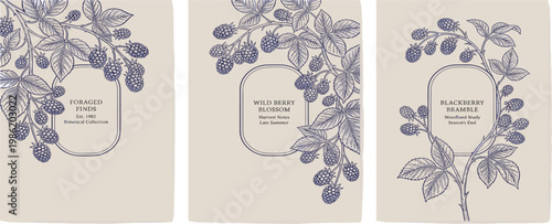 Elegant vintage style botanical illustrations of berry branches, perfect for rustic labels, packaging, or decorative prints with a natural aesthetic