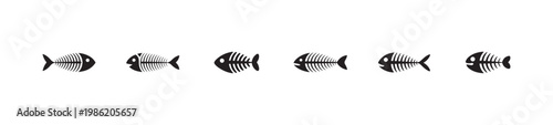 Several fish bone skeletons arranged in a row on white background vector