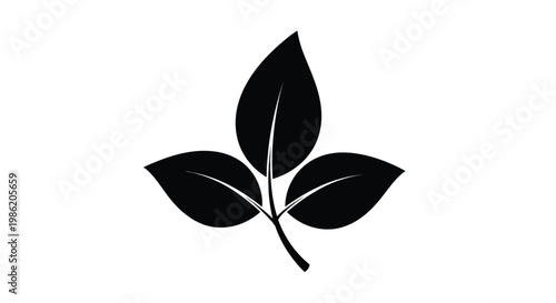 Photos Three leaves depicted in a stark black silhouette