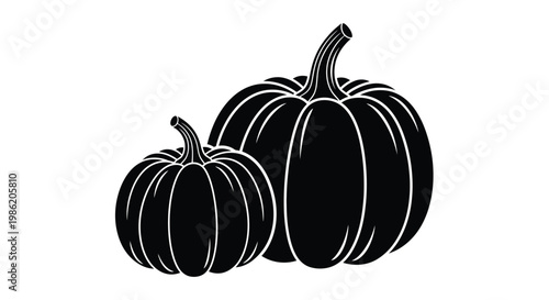Two black pumpkins displayed together a striking silhouette