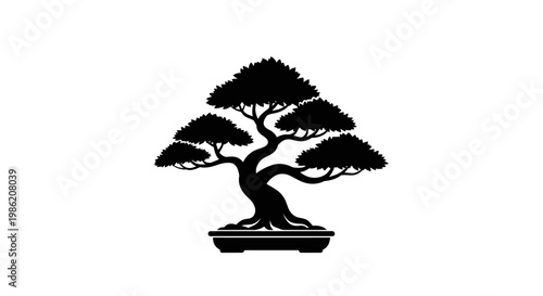 Elegant bonsai tree in a pot a striking black silhouette