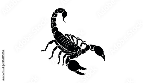 Intricate black and white illustration of a scorpion with a curled tail