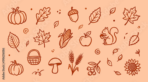 Autumn harvest doodle icons set with pumpkin acorn corn apple squirrel wheat berries sunflower and leaves on orange background