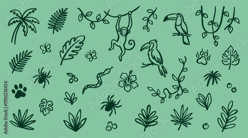Jungle illustration with monkey toucan snake spider palm leaves and tropical plants hand drawn sketch style