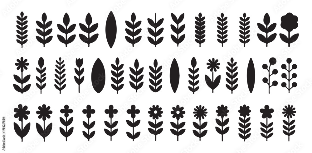 Obraz premium Botanical elements and floral icons in black silhouette for graphic design projects
