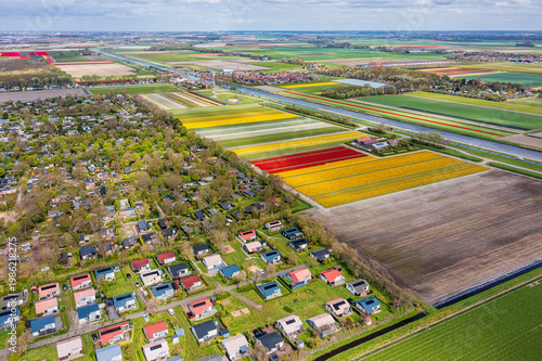 A bird's-eye view of colorful, blooming tulip fields in North Holland