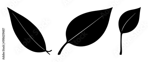 Eco-friendly packaging icon set with minimalist black leaf design featuring sustainable, recyclable, biodegradable with natural and organic elements