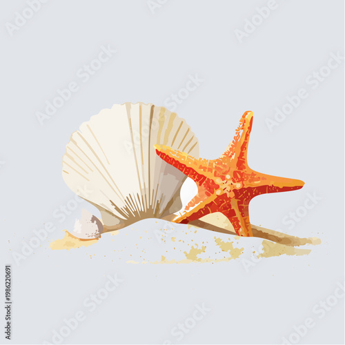 Eine ruhige Küsten-Stillleben-Szene mit einer zarten Muschel und einem Seestern