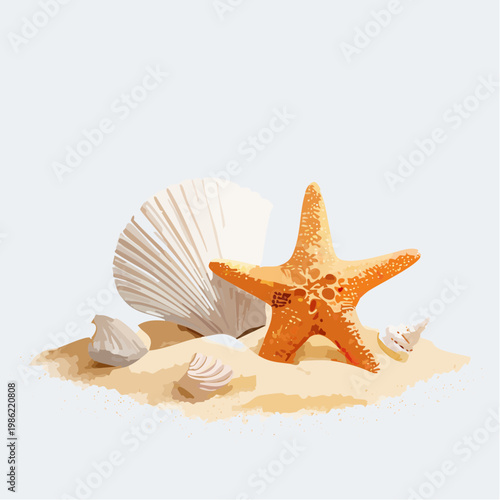 Eine ruhige Küsten-Stillleben-Szene mit einer zarten Muschel und einem Seestern