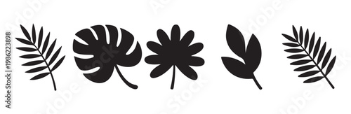 Collection of tropical leaves silhouettes isolated on white background for design