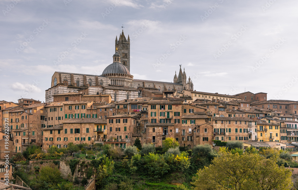 Fototapeta premium Siena Cathedral towering above historic buildings in Tuscany, Italy.