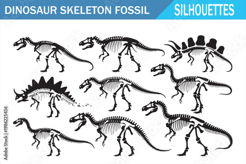 Prehistoric skeleton silhouette bundle with dinosaur fossil icons and bone shapes