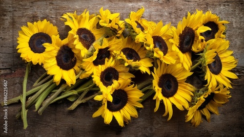 sunflowers. Sunflowers arranged on a rustic wooden surface, vibrant yellow petals with dark centers in soft light. event programs.

