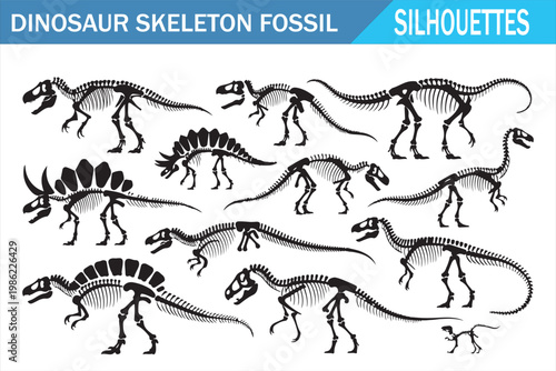 Dinosaur skeleton collection featuring prehistoric fossil silhouettes for science design
