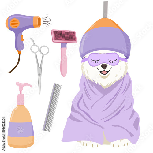 Fluffy white dog SPA grooming set with professional dryer, scissors, slicker brush, comb and sleep mask, cute pet care vector illustration on a transparent background. Samoyed 