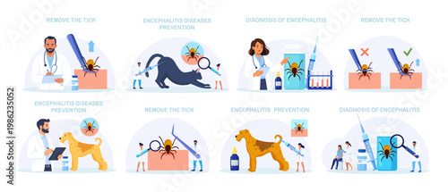 Set of Prevention of Lyme, Encephalitis. Doctor Removes Encephalitis Ticks. Parasite Carrying Disease. First Aid with Infections Transmitted by Mites. Tick attached to skin, removed with tweezers
