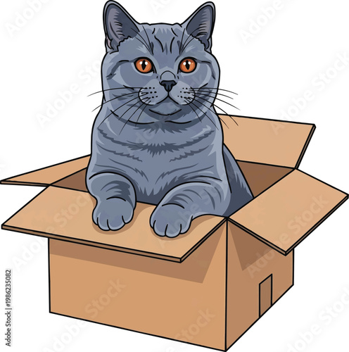 British Shorthair cat sitting peeking out of cardboard box illustration
