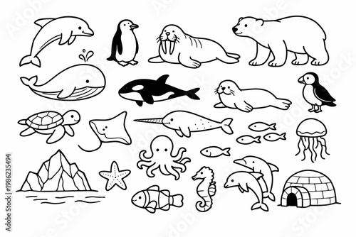 Simple Line Art Vector Illustration Set of Marine and Polar Animals Including Dolphin Penguin Walrus Polar Bear Whale Orca Seal Puffin Sea Turtle Stingray Narwhal Octopus Jellyfish Seahorse Igloo