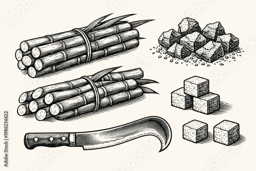 Vintage engraving style sugarcane production set featuring bundled stalks, raw brown sugar crystals, refined white sugar cubes, and a traditional harvesting machete knife on a plain background.