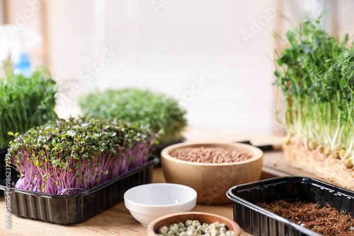Fresh microgreens and seeds on wooden table indoors, closeup