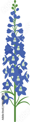 Blue delphinium flower with green stem and leaves blue flower