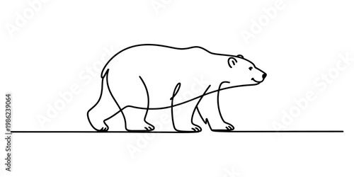 Minimalist continuous one line drawing of a walking polar bear on a white background. Vector, illustration