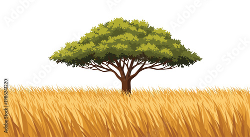 Majestic green canopy tree grows prominently within a sprawling field of tall golden savanna grass under a soft and warm natural lighting environment.