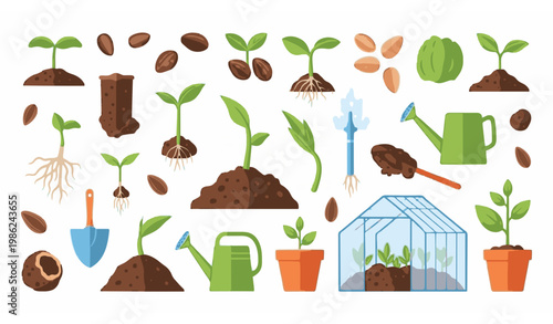Seeds and seedlings gardening vector illustration set with farm greenhouse and plant growth elements