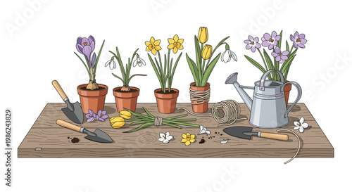 Vibrant purple crocuses and yellow daffodils grow in terracotta pots arranged on a weathered wooden workbench alongside small metal trowels and garden twine.