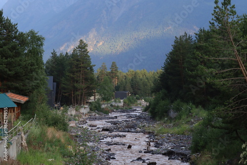 A mountain river in a pine forest on a summer day