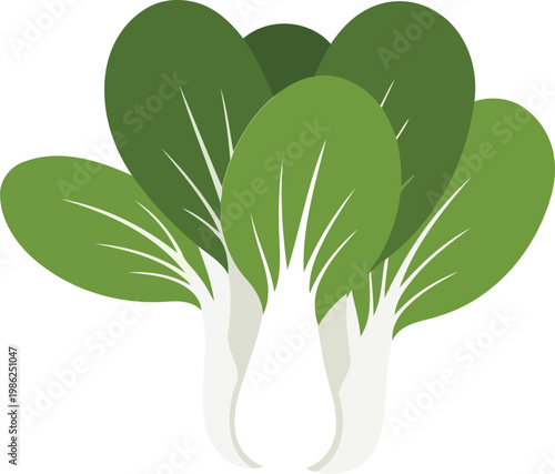 Bunch of green bok choy vegetables green vegetables