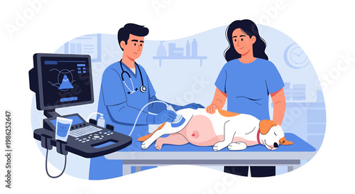 Veterinary Ultrasound Examination of a Dog in a Clinic.