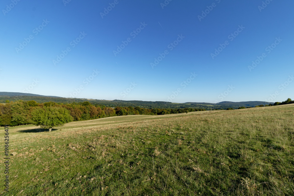 Obraz premium Expansive green meadow under a clear blue sky with distant rolling hills and trees