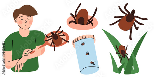 Tick Bite and Exposure Set. Flat vector illustration of human skin reaction, ticks on body, clothing and grass, Lyme disease risk. Concept for medical, healthcare and outdoor safety design.