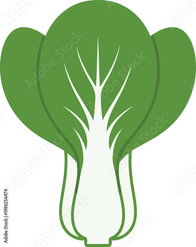 Green Bok Choy Vegetable leafy greens white background
