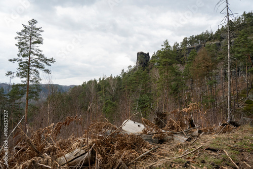 Impressionen vom Wanderweg Großer Reitsteig in der Sächsischen Schweiz 4
