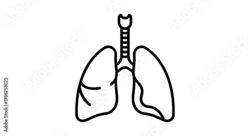 Human Lungs and Trachea Icon Outline Vector Illustration