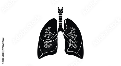 Anatomical illustration of human lungs showcasing bronchial tree structure