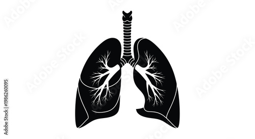 Anatomical illustration of human lungs in a black and white style