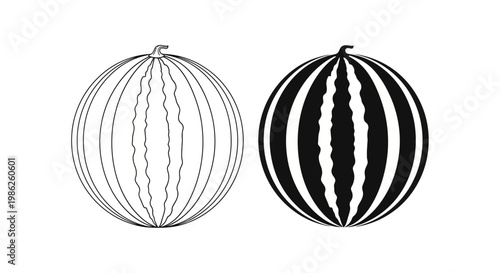 Two depictions of watermelons are shown in linear drawings one light and one dark creating a striking visual contrast silhouette high quality professional detailed