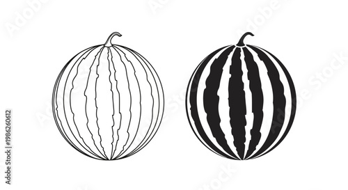 Two detailed illustrations showcase watermelons in contrasting shades one light and one dark presented as a striking silhouette high quality professional modern elegant stylish