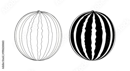Two whole watermelons are presented side by side one with detailed line work and the other as a bold silhouette high quality professional modern