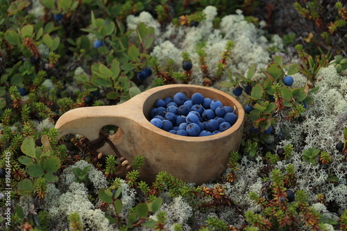 Tableau sur toile A rustic wooden kuksa, brimming with ripe blueberries, rests amongst the natural