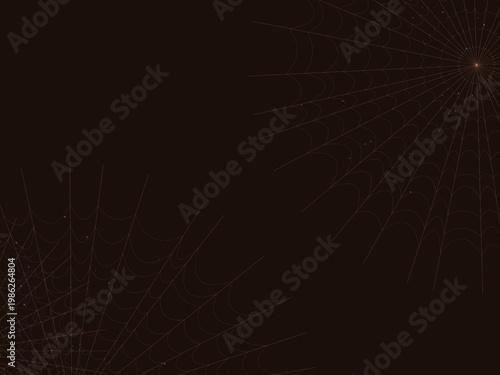 Spider Web Pattern Dew Drop Nature Background
