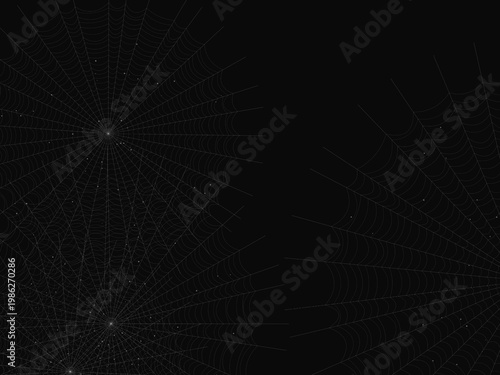 Spider Web Pattern Dew Drop Nature Background