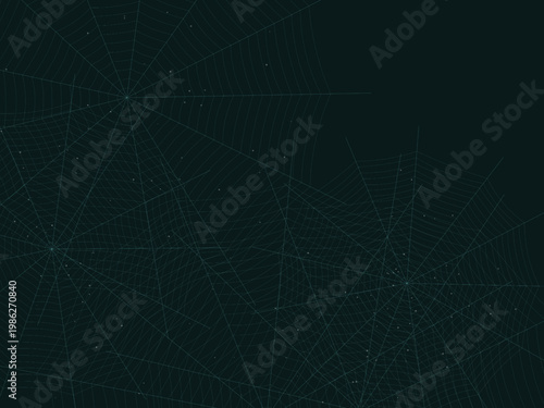 Radial Spider Web Cobweb Silk Thread Design