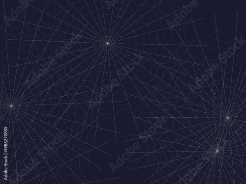 Cobweb Spider Silk Thread Geometric Pattern Design