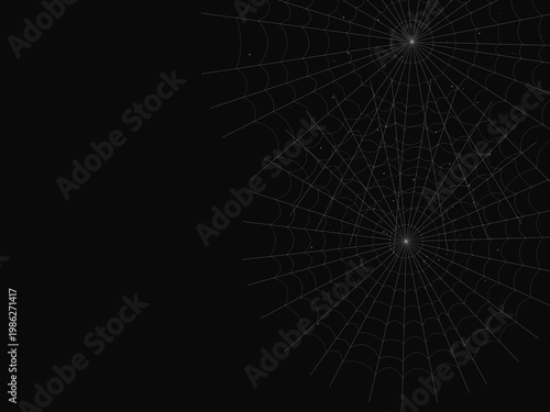 Gothic Spider Web Cobweb Pattern Nature Design Backdrop