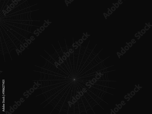 Cobweb Spider Silk Thread Geometric Pattern Design