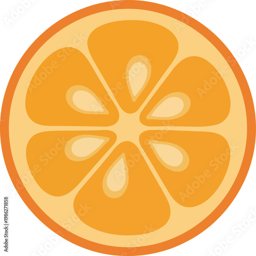 Orange Fruit Slice Cross Section citrus